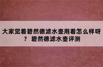 大家觉着碧然德滤水壶用着怎么样呀？ 碧然德滤水壶评测